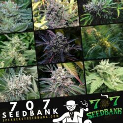 Speakeasy Seed Bank presents 707 Seed Bank