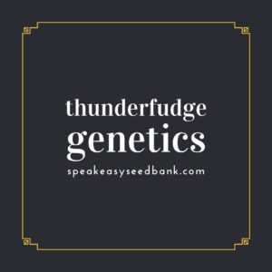 Speakeasy presents Thunderfudge Genetics