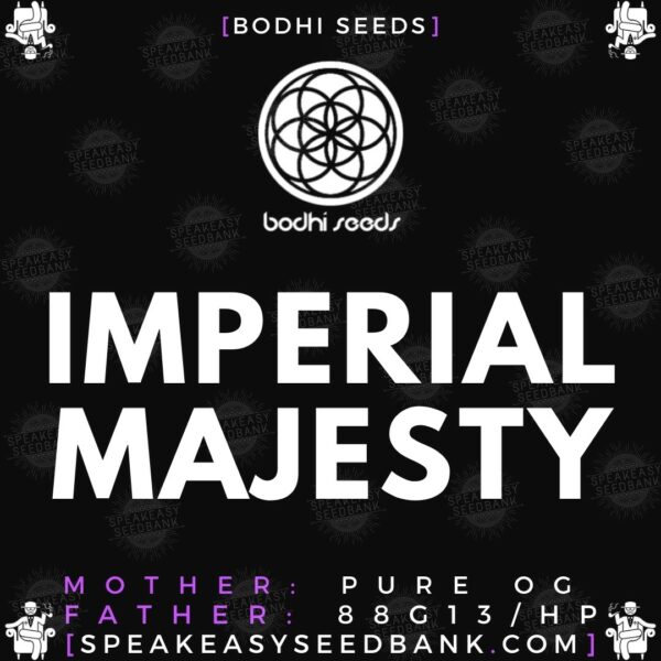 Speakeasy presents Imperial Majesty by Bodhi Seeds