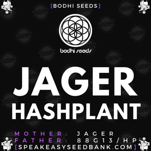 Speakeasy presents Jager Hashplant by Bodhi Seeds