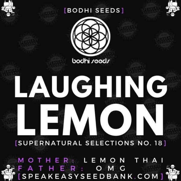 Speakeasy presents Laughing Lemon by Bodhi Seeds