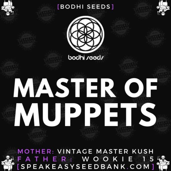 Speakeasy presents Master of Muppets by Bodhi Seeds