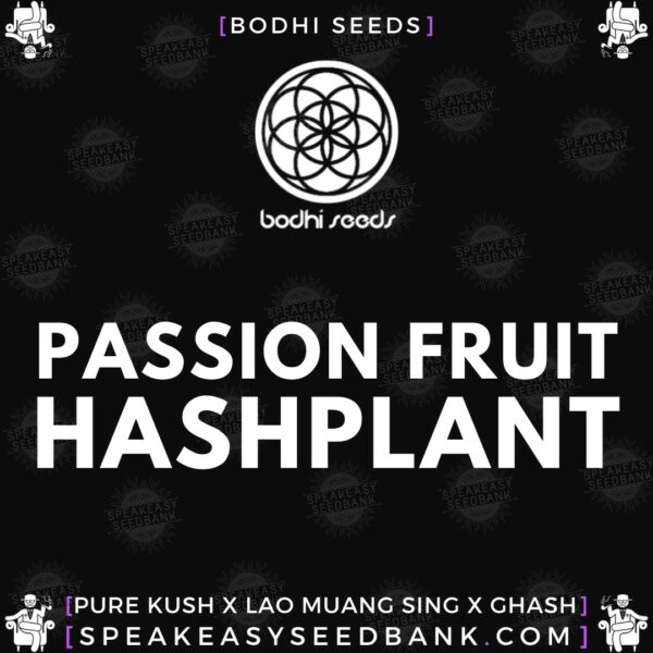 Speakeasy presents Passionfruit Hash Plant by Bodhi Seeds