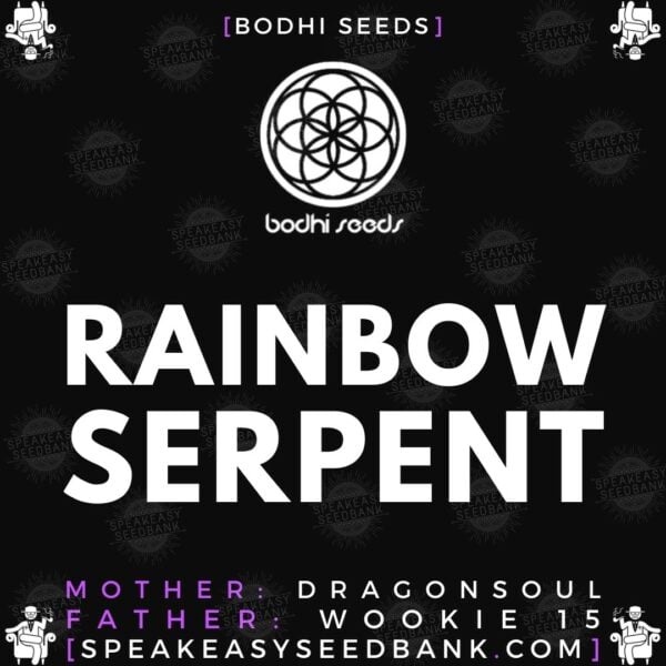 Speakeasy presents Rainbow Serpent by Bodhi Seeds