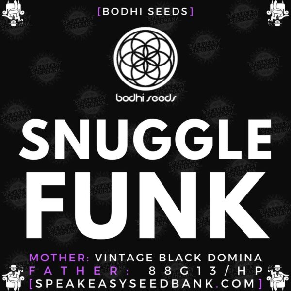 Speakeasy presents Snuggle Funk by Bodhi Seeds