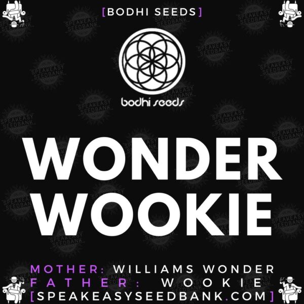 Speakeasy presents Wonder Wookie by Bodhi Seeds
