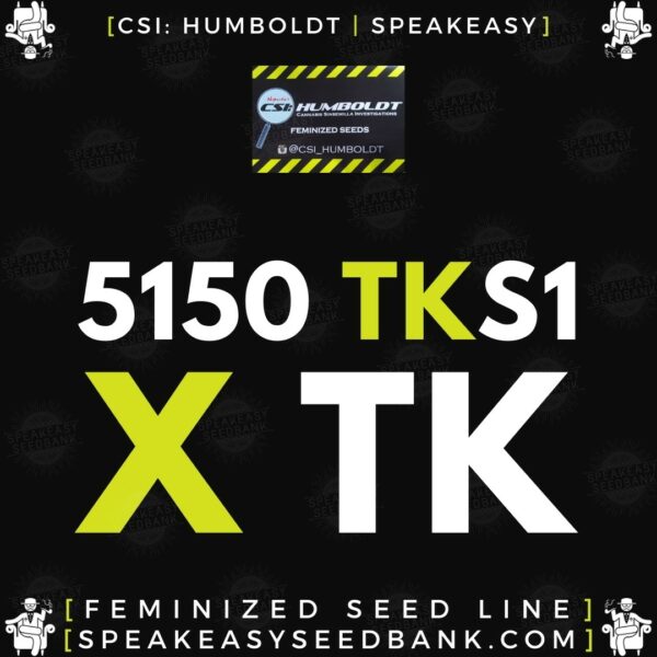 Speakeasy presents 5150 Triangle Kush S1 x Triangle Kush by CSI Humboldt