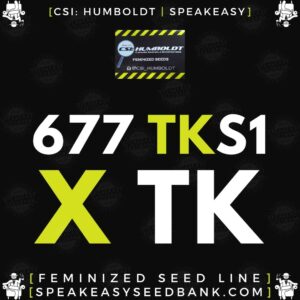 Speakeasy presents 677 Triangle Kush S1 x Triangle Kush by CSI Humboldt