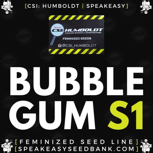 Speakeasy presents Bubblegum S1 by CSI Humboldt