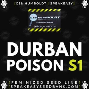Speakeasy presents Durban Poison S1 by CSI Humboldt