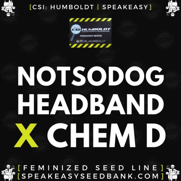 Speakeasy presents Notsodog Headband aka LA KUSH x Chemdog D by CSI Humboldt