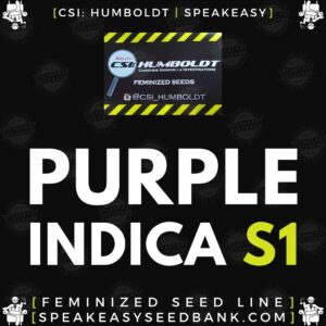 Speakeasy presents Purple Indica S1 by CSI Humboldt