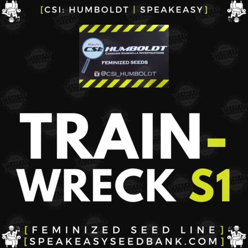 Trainwreck S1