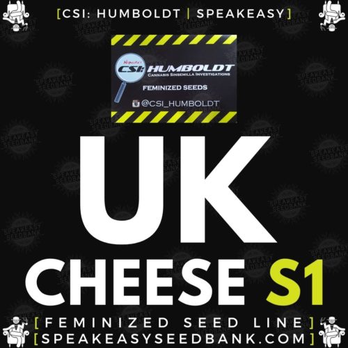 UK Cheese S1