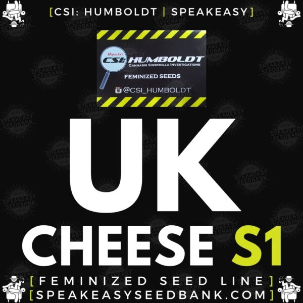 Speakeasy presents UK Cheese S1 by CSI Humboldt