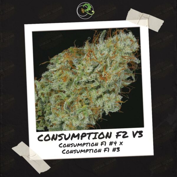 Consumption F2 V3 by Relic Seeds