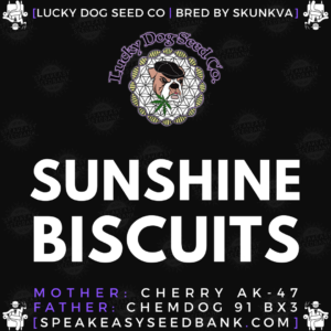 Skunk Va Presents Lucky Dog Seed Co Seeds Authentic Chemdog Strains