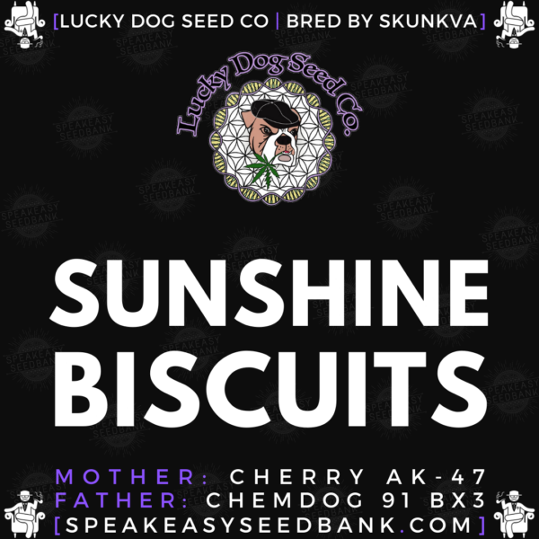 Speakeasy presents Sunshine Biscuits by Lucky Dog Seed Co