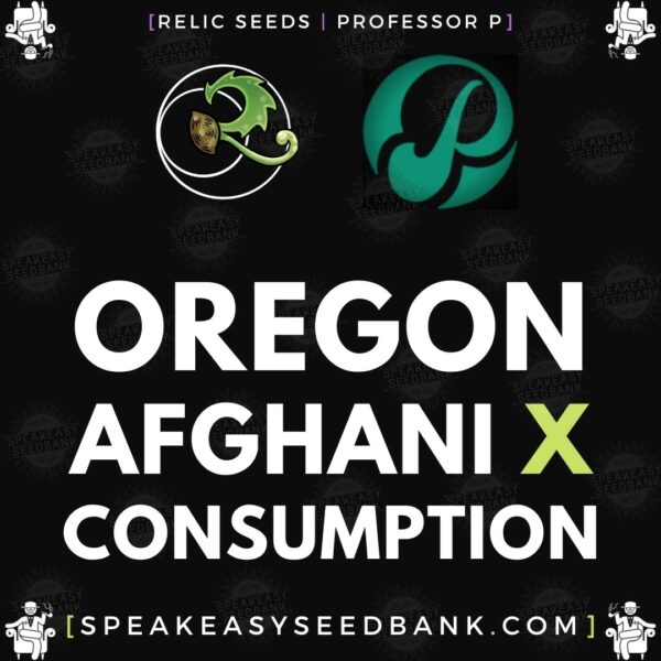 Speakeasy presents Oregon Afghani x Consumption by Relic Seeds