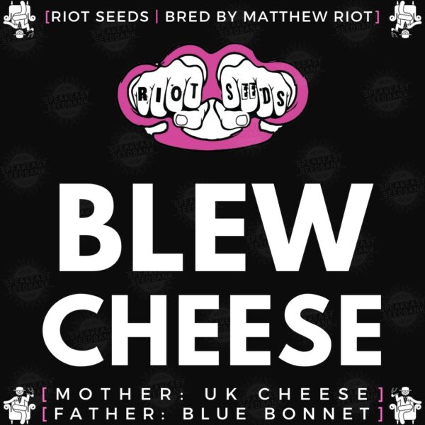 Speakeasy presents Blew Cheese by Riot Seed Co