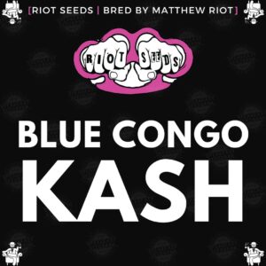 Speakeasy presents Blue Congo Kash by Riot Seed Co