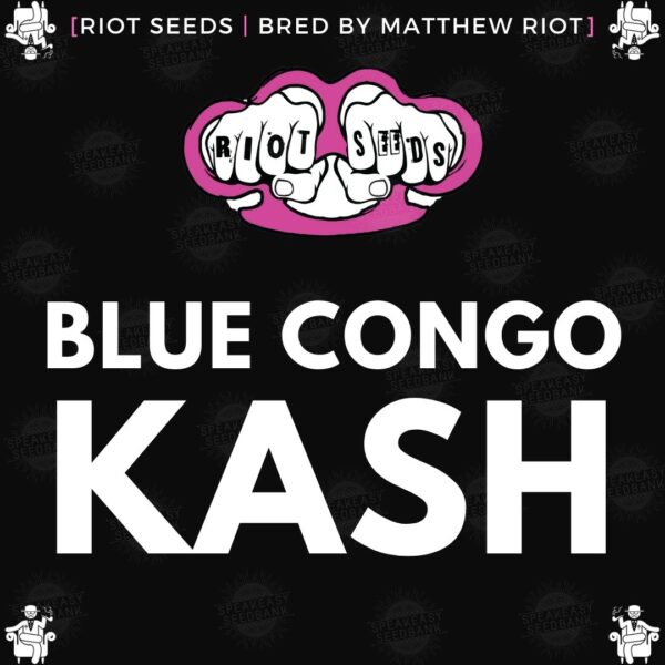 Speakeasy presents Blue Congo Kash by Riot Seed Co