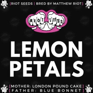 Speakeasy presents Lemon Petals by Riot Seed Co