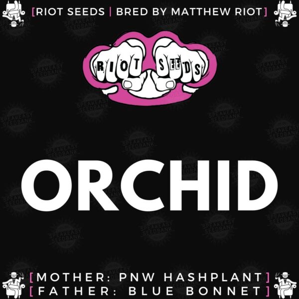 Speakeasy presents Orchid by Riot Seed Co