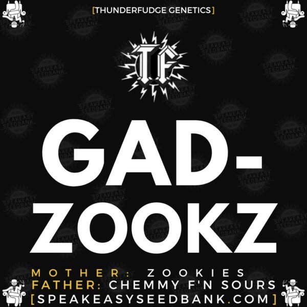 Speakeasy presents Gadzookz by Thunderfudge Genetics
