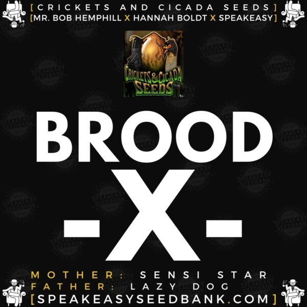 Speakeasy presents Brood X by Crickets and Cicada Seeds