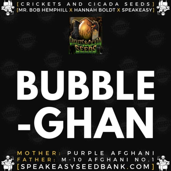 Speakeasy presents Bubbleghan by Crickets and Cicada Seeds