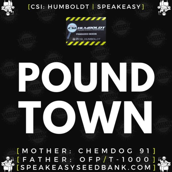Speakeasy presents Pound Town