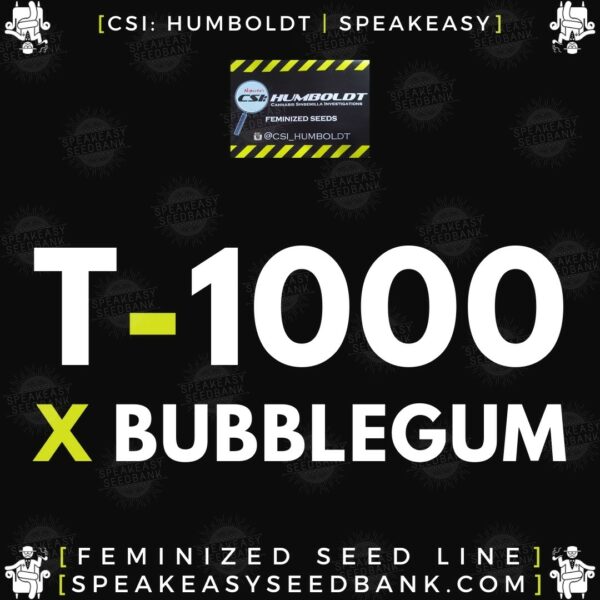 Speakeasy presents T-1000 x Bubblegum