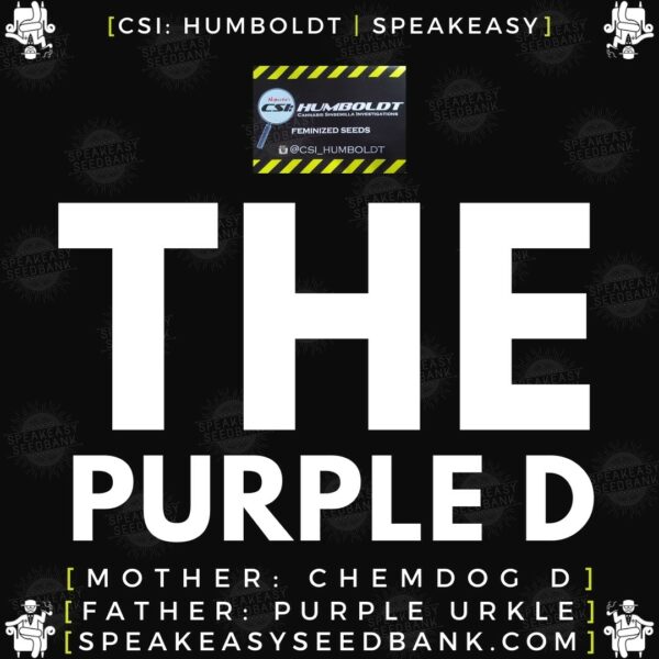 Speakeasy presents The Purple D