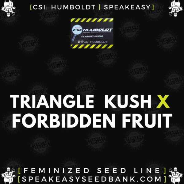 Speakeasy presents Triangle Kush x Forbidden Fruit