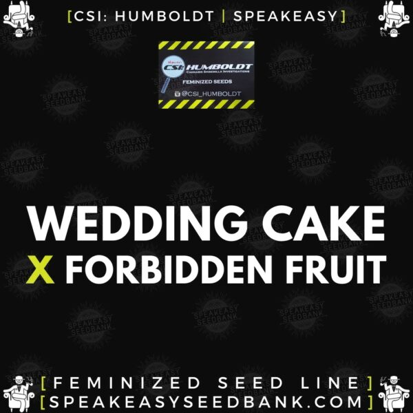 Speakeasy presents Wedding Cake x Forbidden Fruit
