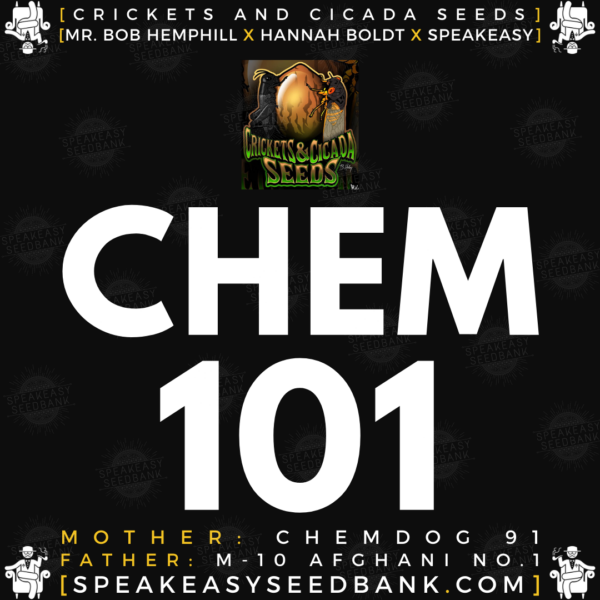 Speakeasy presents Chem 101 by Crickets and Cicada Seeds
