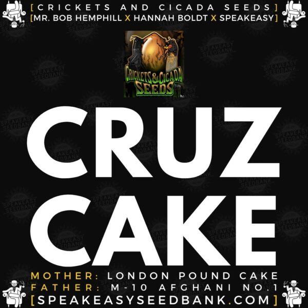 Speakeasy presents Cruz Cake by Crickets and Cicada Seeds
