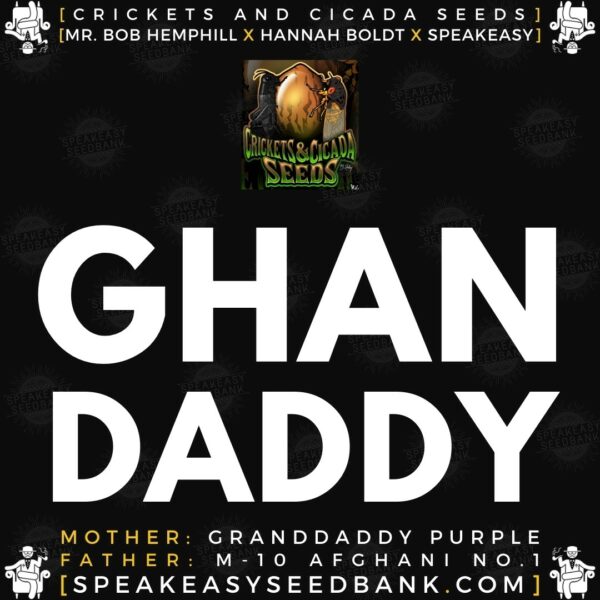Speakeasy presents Ghandaddy by Crickets and Cicada Seeds