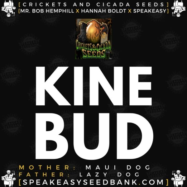 Speakeasy presents Kine Bud by Crickets and Cicada Seeds