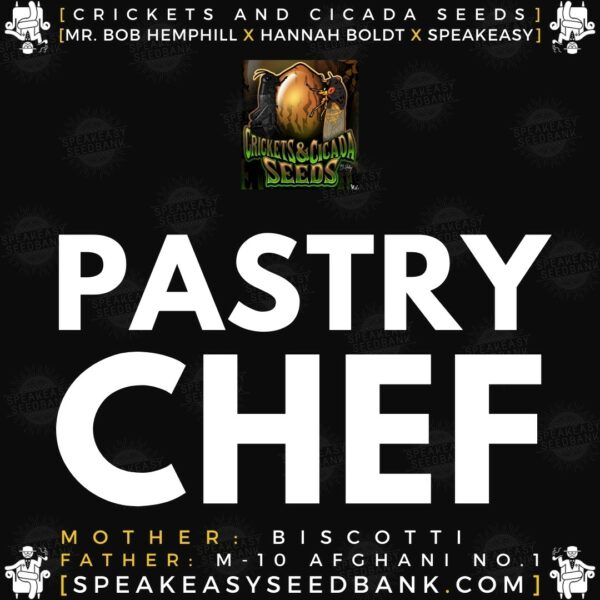 Speakeasy presents Pastry Chef by Crickets and Cicada Seeds
