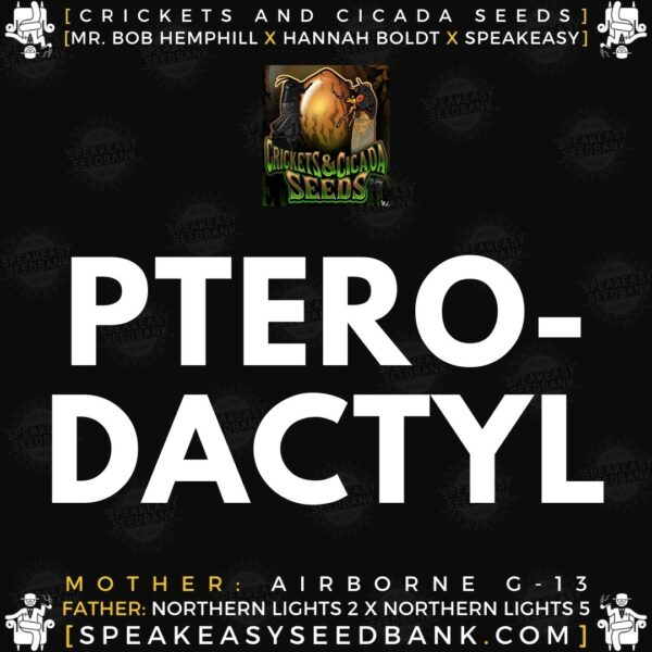 Speakeasy presents Pterodactyl by Crickets and Cicada Seeds