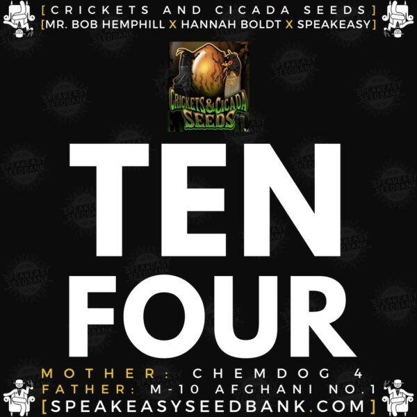 Speakeasy presents Ten Four by Crickets and Cicada Seeds