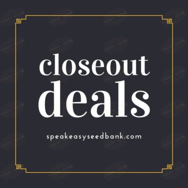 Speakeasy presents closeout deals