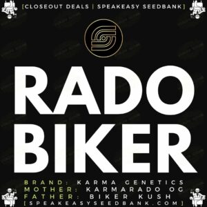 Speakeasy presents our Rado Biker closeout deal