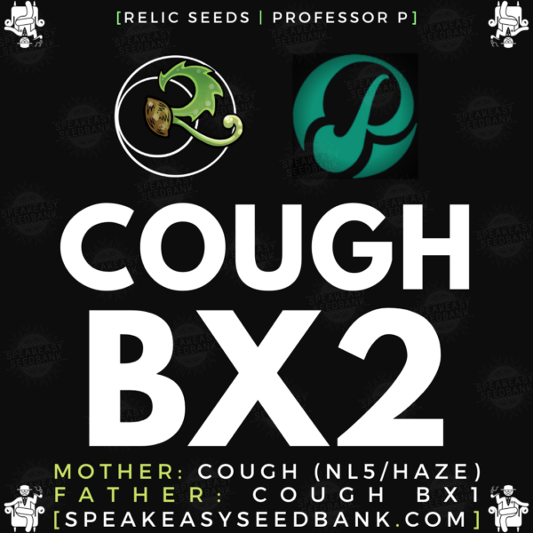 Speakeasy presents Cough BX2