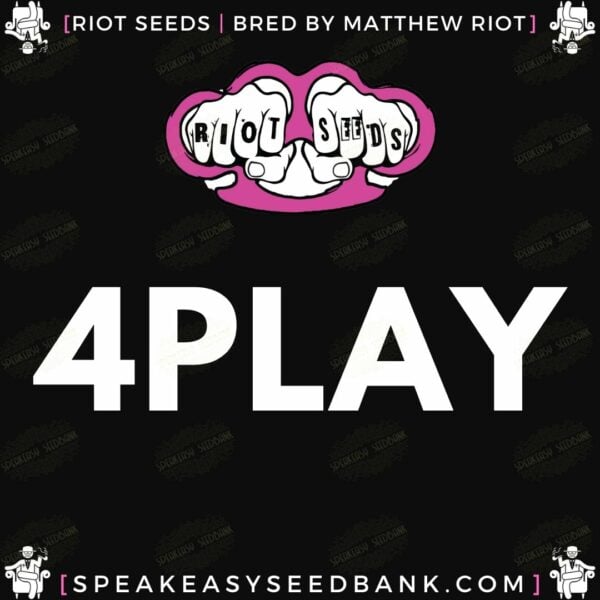 Speakeasy presents 4Play