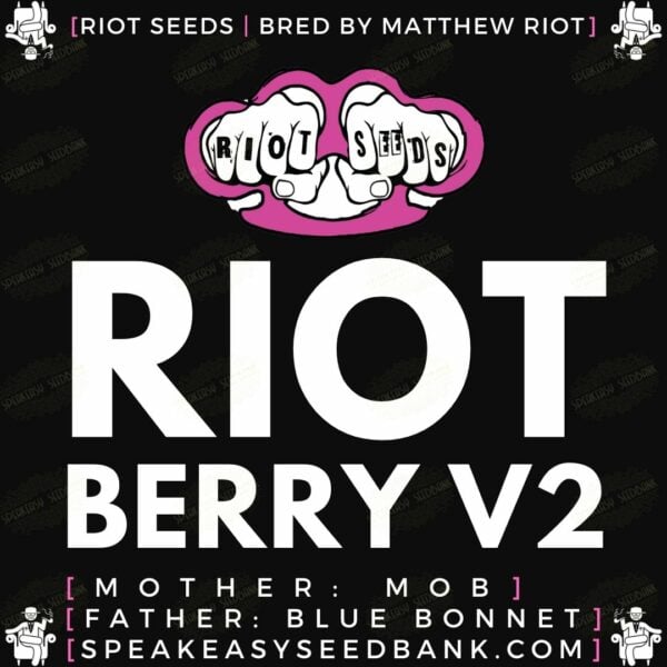 Speakeasy presents Riotberry V2
