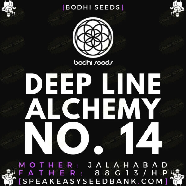 Speakeasy presents Deep Line Alchemy 14