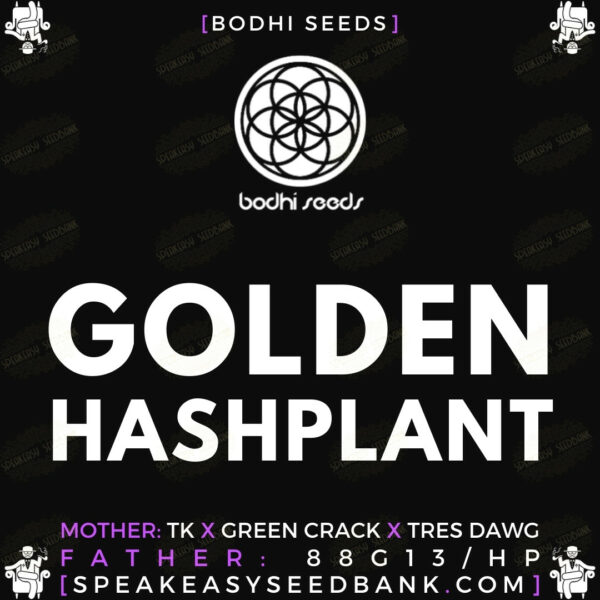 Speakeasy presents Golden Hashplant